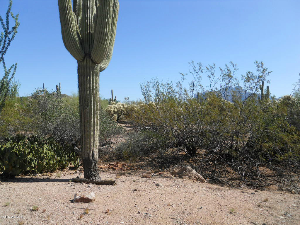 4725 North Wolverine Pass Road Apache Junction, AZ 85119 - Photo 17 of 20 Wolverine Pass Johnson 024