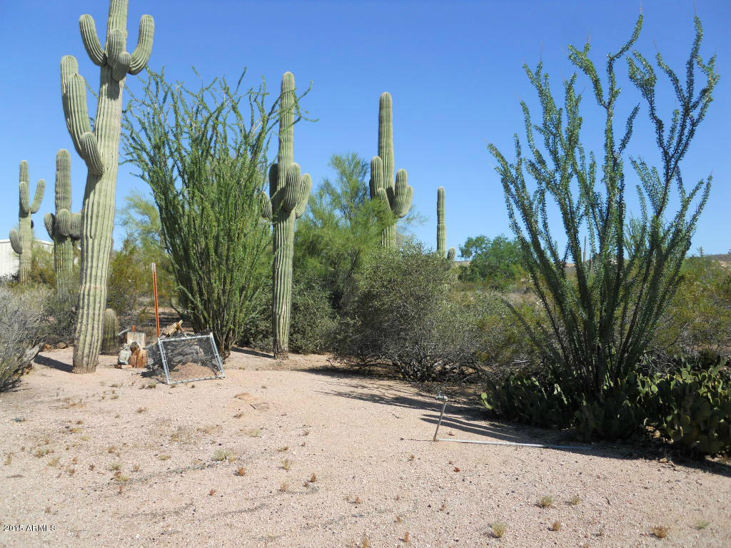 4725 North Wolverine Pass Road Apache Junction, AZ 85119 - Photo 18 of 20 Wolverine Pass Johnson 025