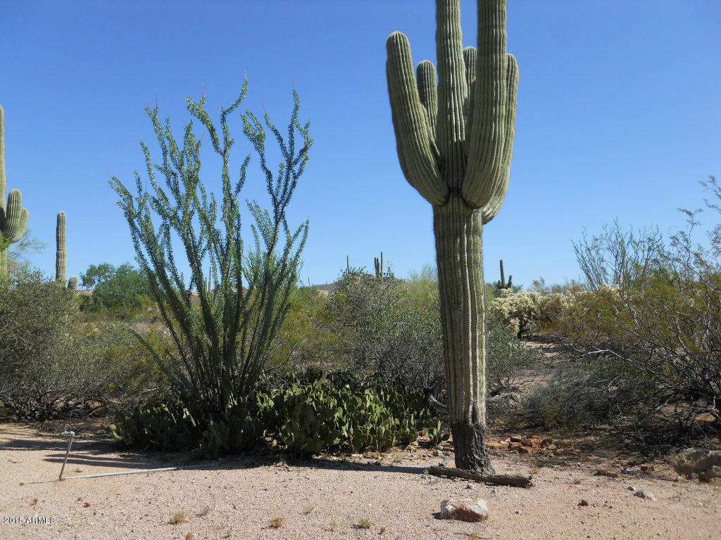 4725 North Wolverine Pass Road Apache Junction, AZ 85119 - Photo 19 of 20 Wolverine Pass Johnson 026