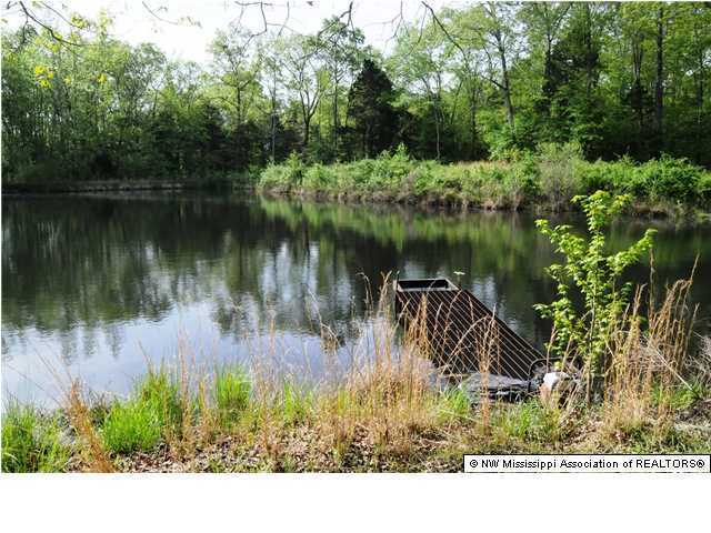 697 Liles Road Holly Springs, MS 38635 - Photo 18 of 20 Additional Photo