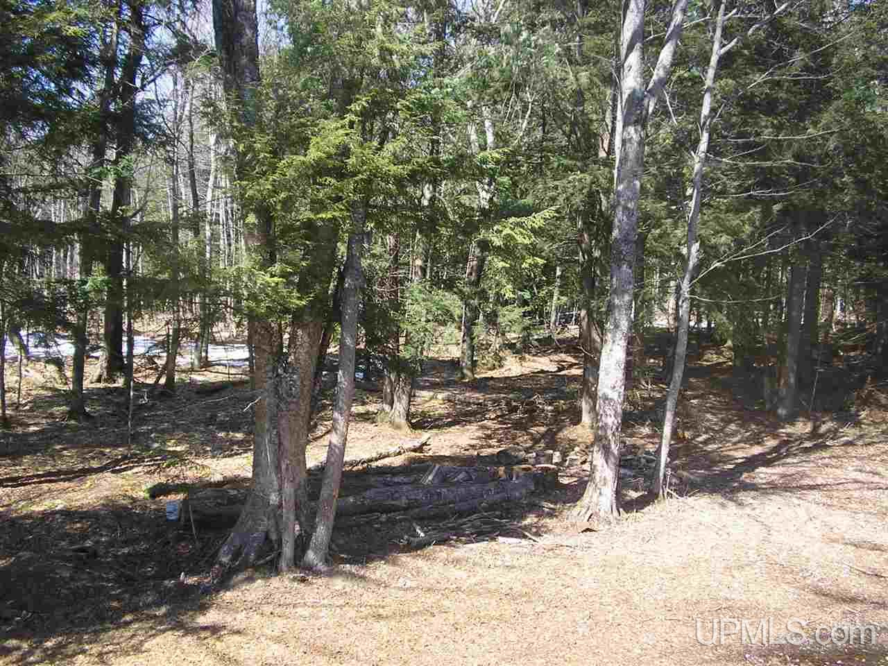 19043 Collins Road Lanse, MI 49946 - Photo 12 of 29 Gallery Image 12