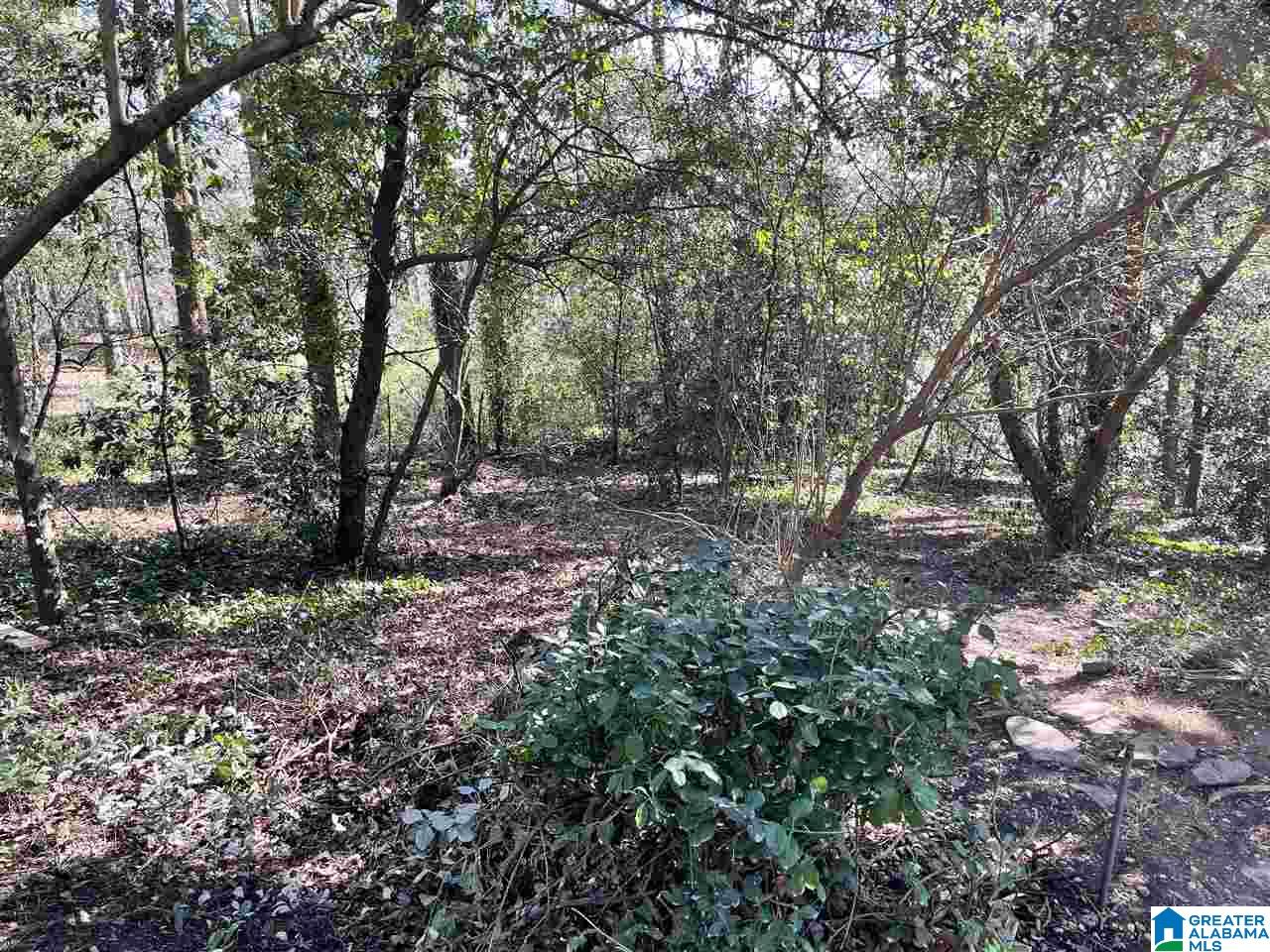 2521 Shades Crest Road Birmingham, AL 35216 - Photo 46 of 47