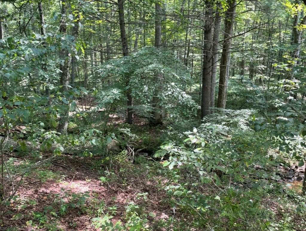 0 Coles Valley Road Robertsdale, PA 16674 - Photo 12 of 13 Gallery Image 12