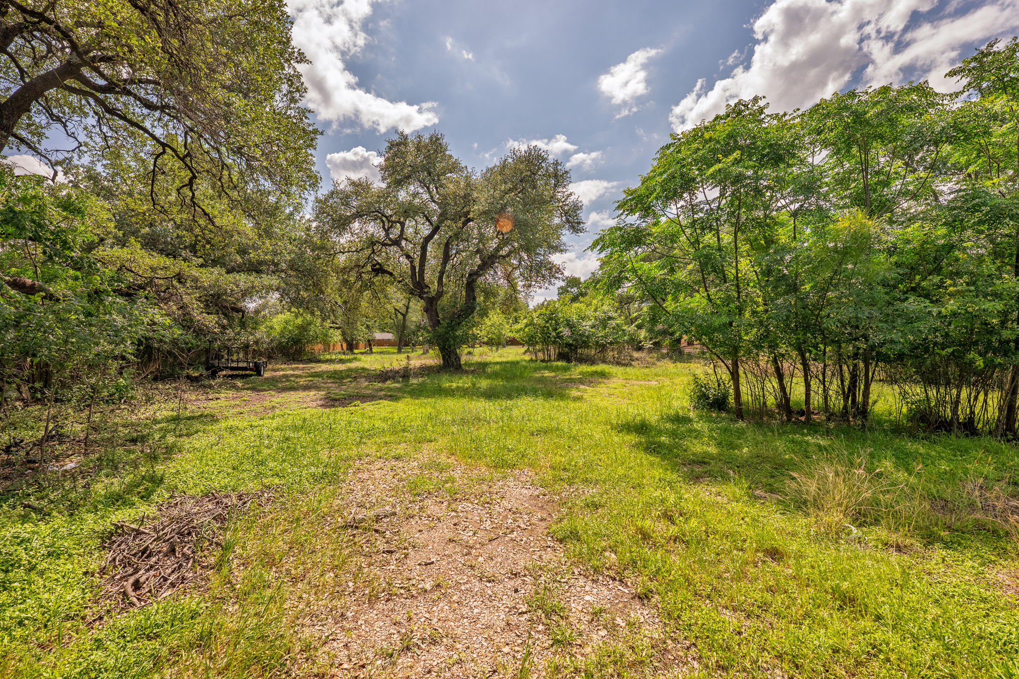 12182 Jollyville Road Austin, TX 78759 - Photo 17 of 25 Expansive natural landscape featuring lush green grass and mature trees