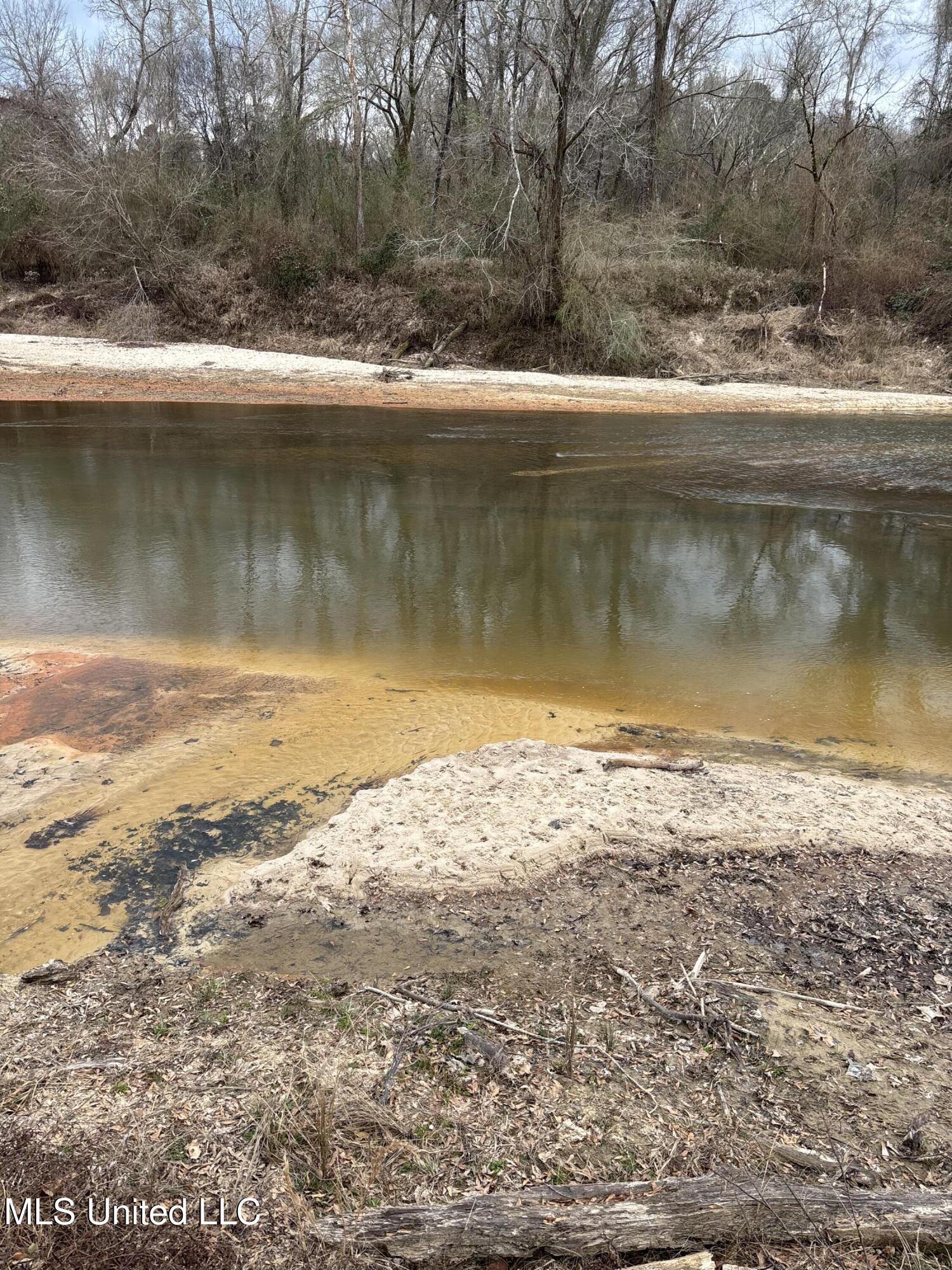Lee Bass Road Pinola, MS 39149 - Photo 3 of 14 IMG_3397