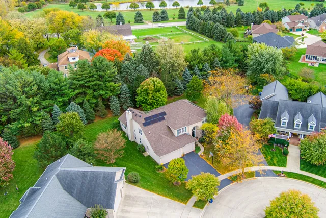 a aerial view of a house with a yard and potted plants