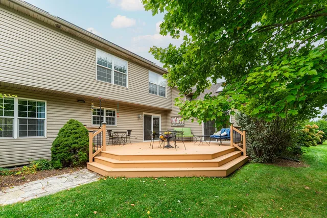 a view of a trees in a yard