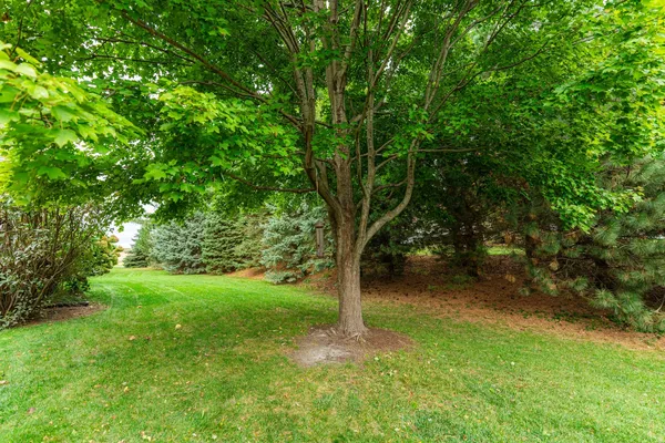 $485,000 | 102 Quinlan Avenue, DeKalb, IL 60115