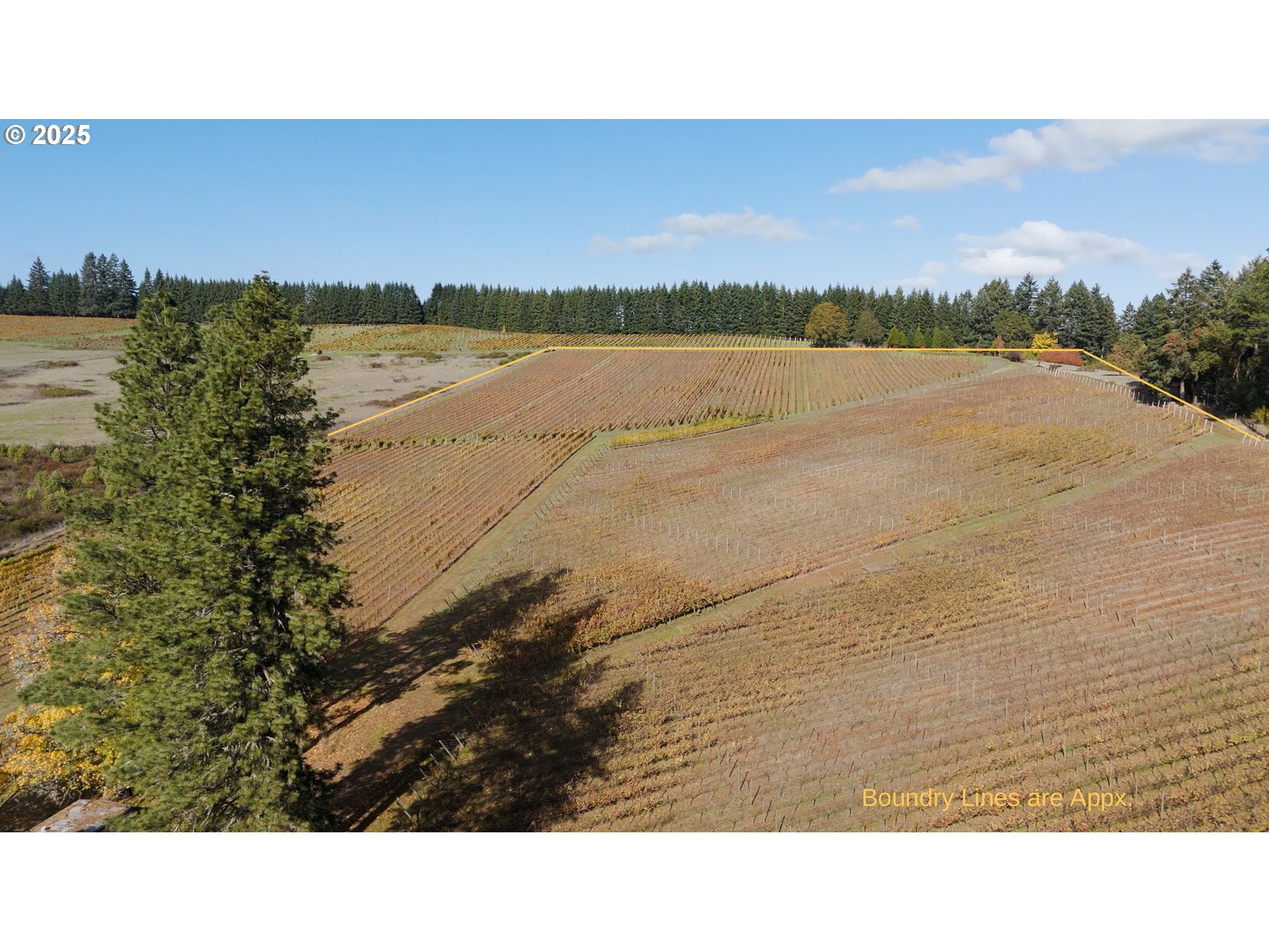 25219 High Pass Road Junction City, OR 97448 - Photo 15 of 23
