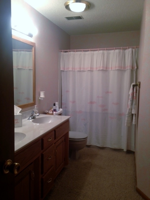 32165 Sassafras Road California, MO 65018 - Photo 24 of 42