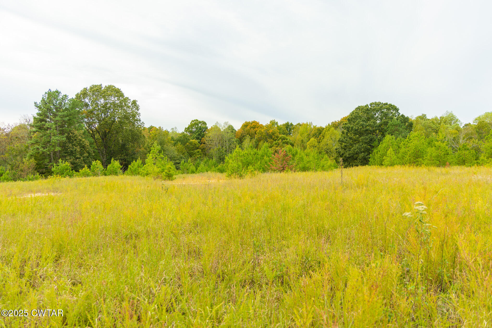 0 South Meridian Street Greenfield, TN 38230 - Photo 13 of 17 a view of an ocean