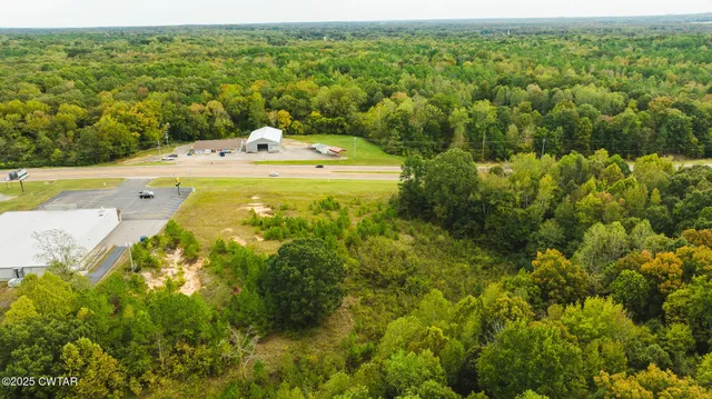 a view of a swimming pool and trees in the background