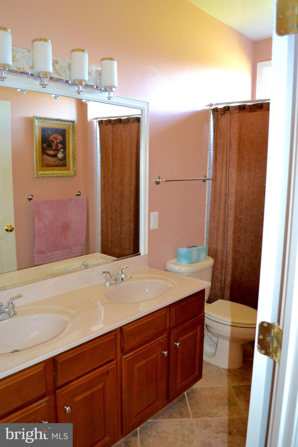 16596 Wayland Road Culpeper, VA 22701 - Photo 16 of 30 Hall bath with double bowl sinks