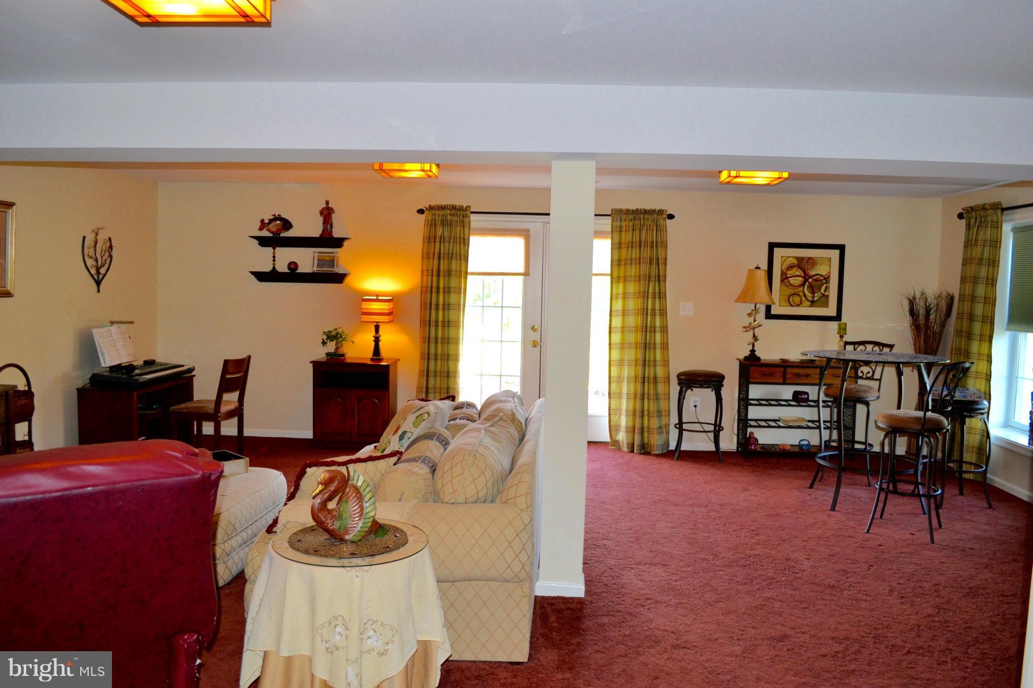 16596 Wayland Road Culpeper, VA 22701 - Photo 18 of 30 Lower level rec room w/ walk out