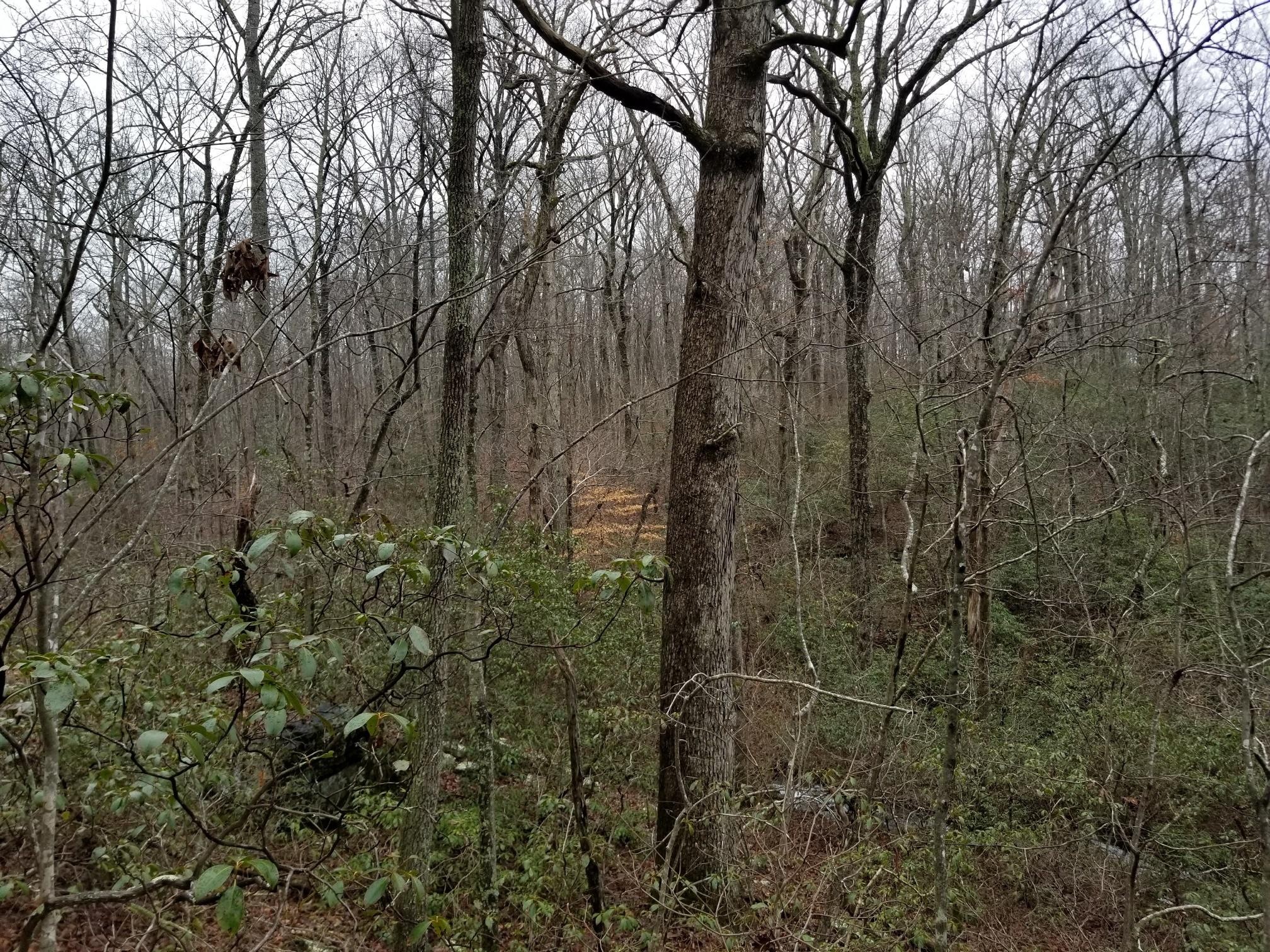 9 Stewart Road Sewanee, TN 37375 - Photo 10 of 13 Gallery Image 10