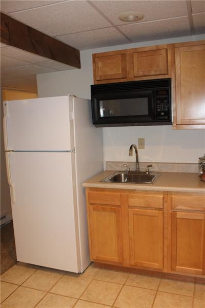 497 Cannery Road Mercer, PA 16137 - Photo 21 of 25 Lower level kitchenette.