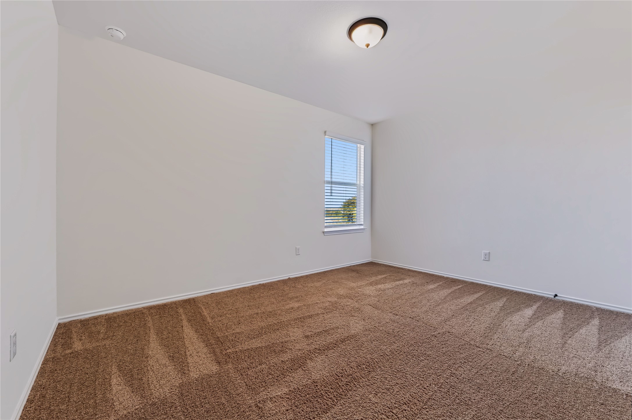 4600 Alfano Loop Round Rock, TX 78665 - Photo 23 of 34 Bedroom #3 featuring plush carpeting, recessed lighting, and flexible furniture placement.