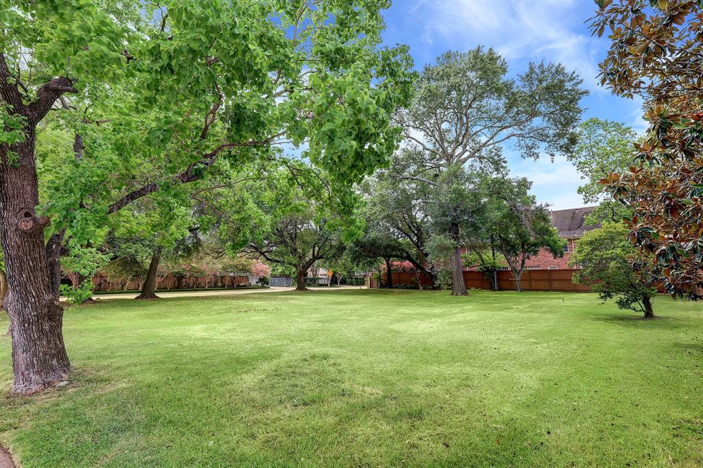 2410 Nantucket Drive Houston, TX 77057 - Photo 1 of 11 a view of a tree in front of a house