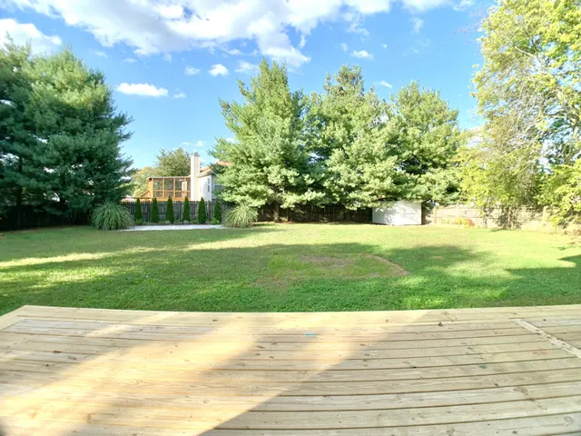 a view of yard with large trees
