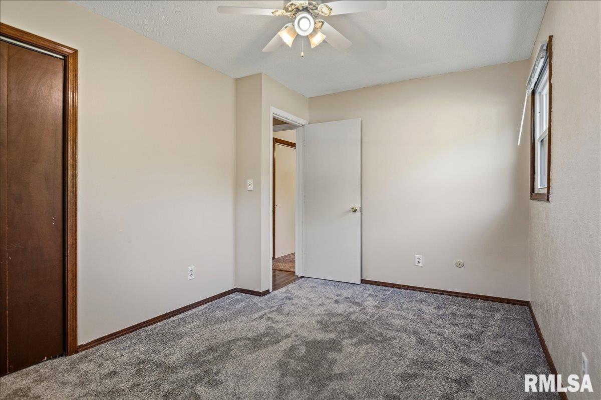 321 Park Street Rochester, IL 62563 - Photo 23 of 35 Gallery Image 23