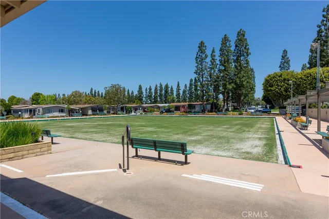 a view of a park with large trees