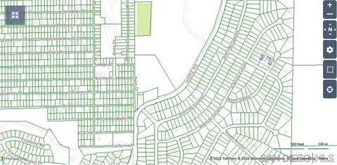 a picture of a tree in a forest