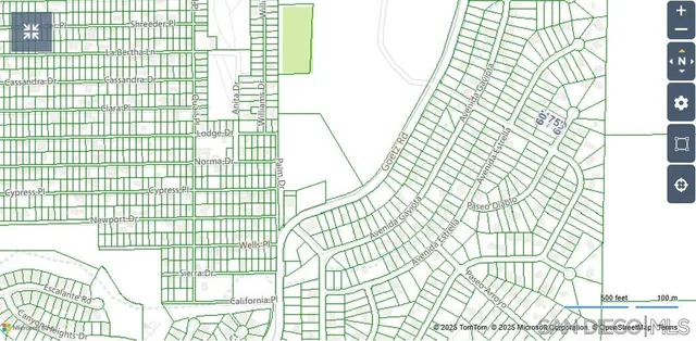 a picture of a tree in a forest