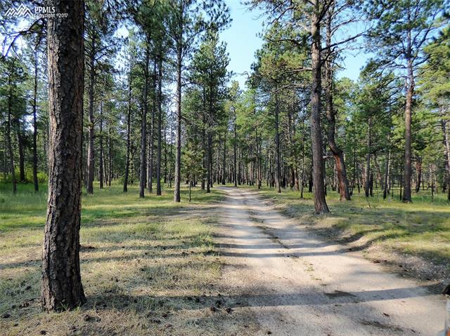 7345 Shoup Road Colorado Springs, CO 80908 - Photo 2 of 2 Gallery Image 2