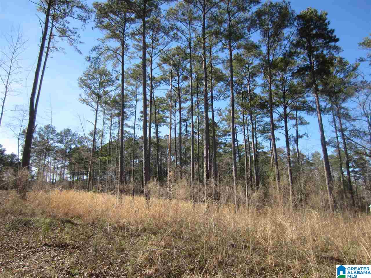 0 Timber Trail, Unit 28 Sylacauga, AL 35151 - Photo 12 of 22