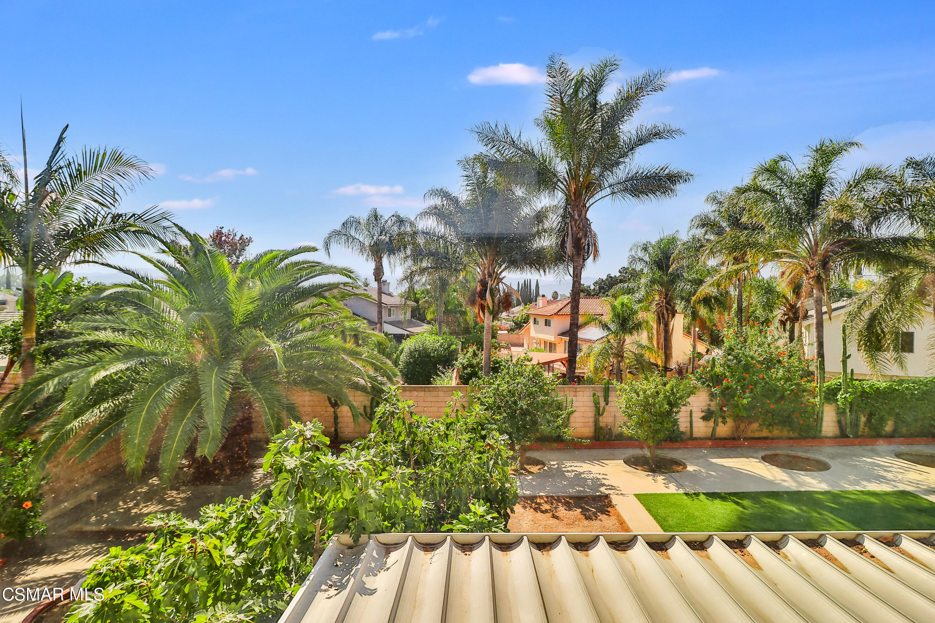 4220 Springfield Street Simi Valley, CA 93063 - Photo 66 of 95 a view of a yard with a palm tree