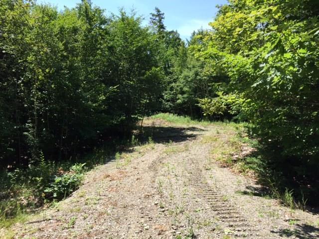 Lot 5-2 Jellison Meadow Road Ellsworth, ME 04605 - Photo 8 of 15 Photo