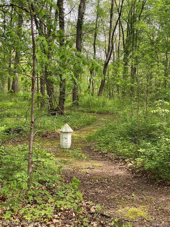 4750 Vines Road Howell, MI 48843 - Photo 33 of 35