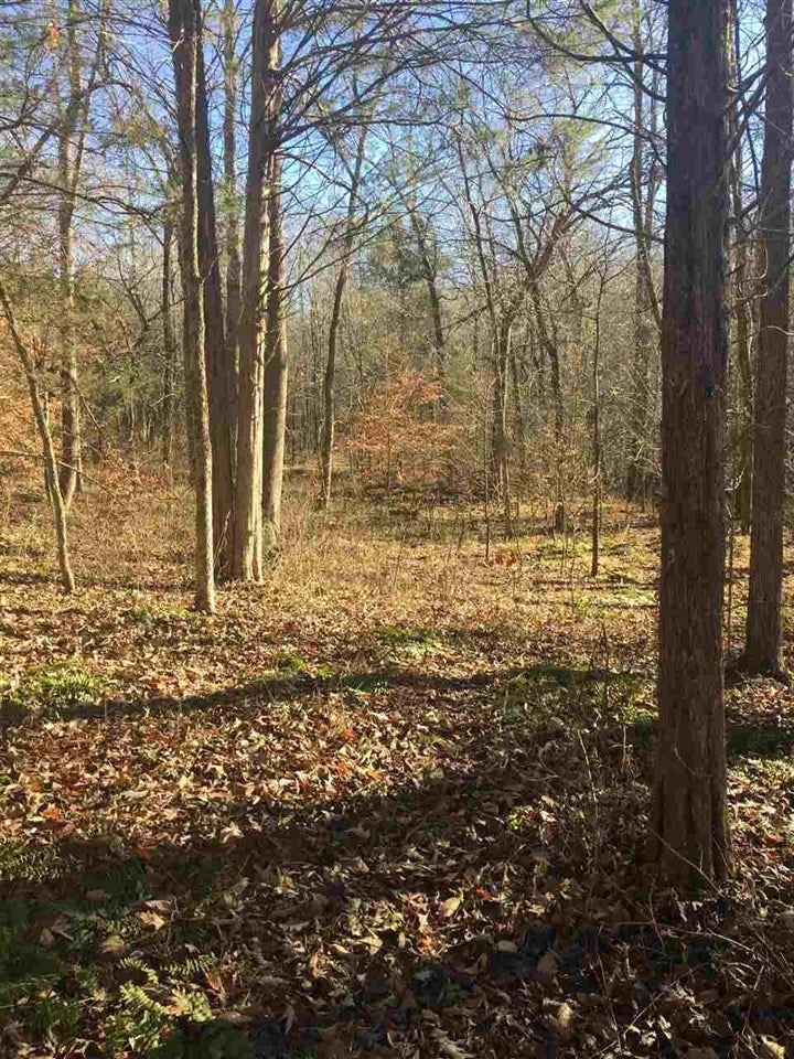 0 Watershed Road Millwood, KY 42762 - Photo 5 of 8 Gallery Image 5
