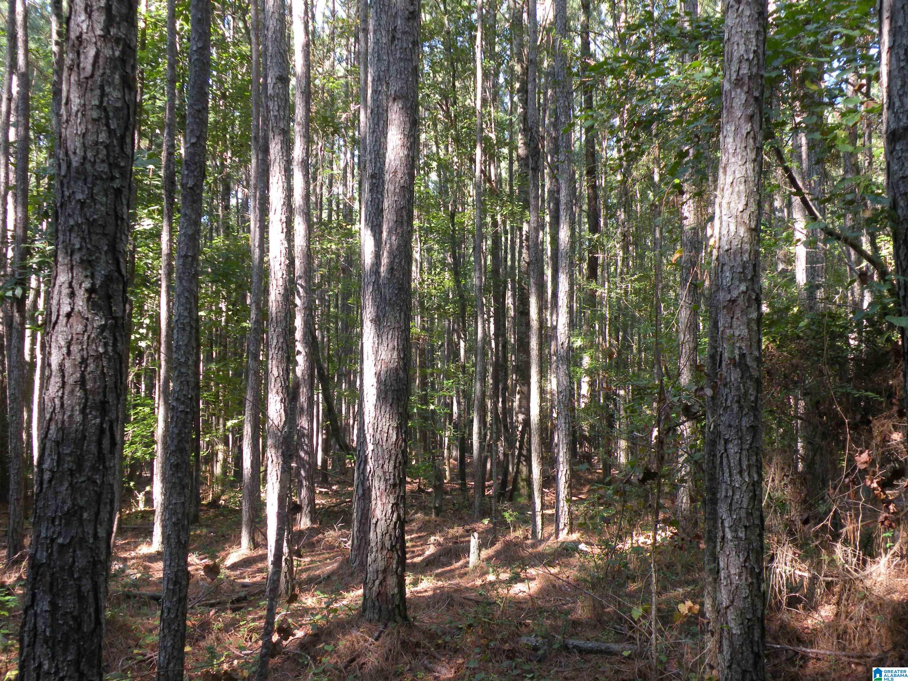 Grist Mill Road, Unit 1 Childersburg, AL 35044 - Photo 3 of 6