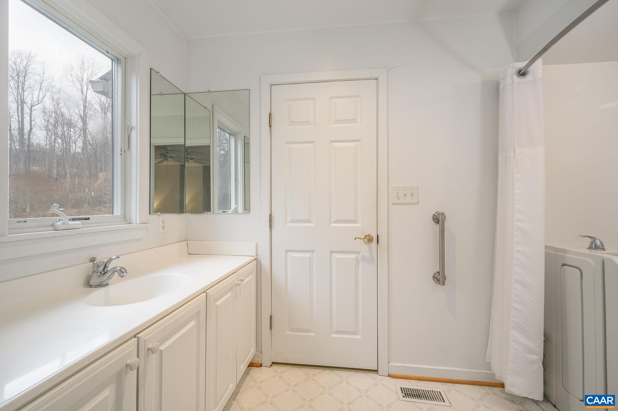 9165 Dick Woods Road Afton, VA 22920 - Photo 20 of 56 a bathroom with a sink and a mirror
