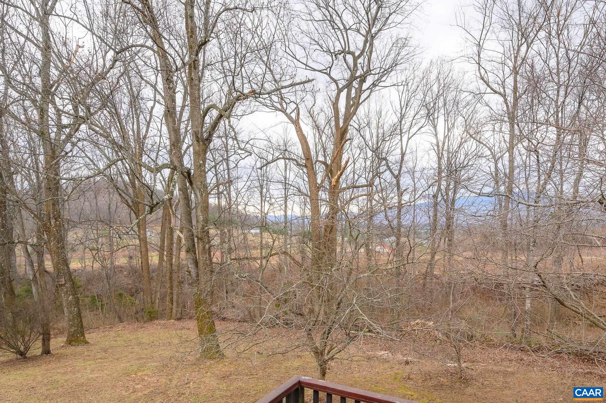 9165 Dick Woods Road Afton, VA 22920 - Photo 34 of 56 a backyard of a house with lots of green space