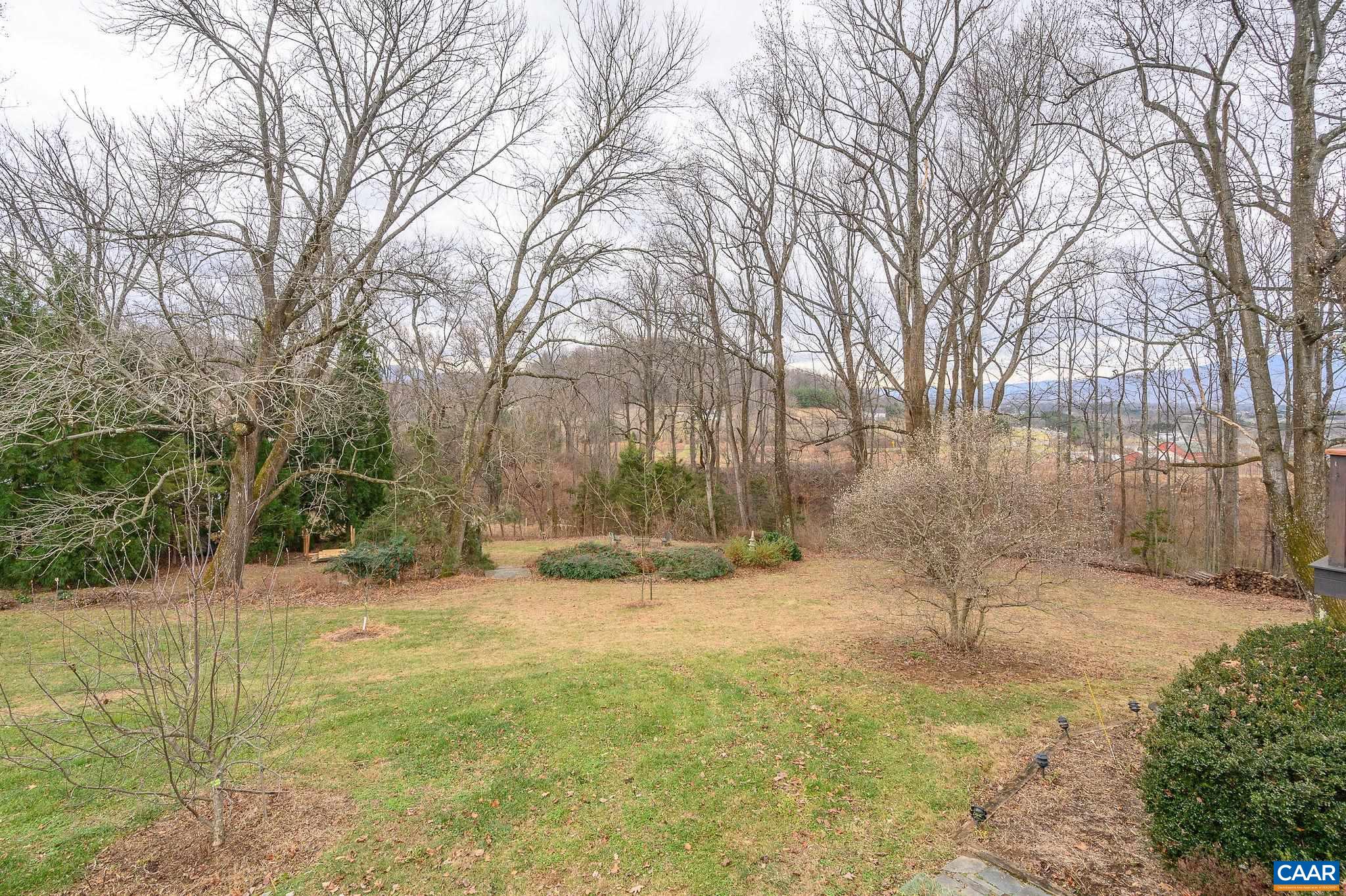 9165 Dick Woods Road Afton, VA 22920 - Photo 50 of 56 a view of a yard with trees