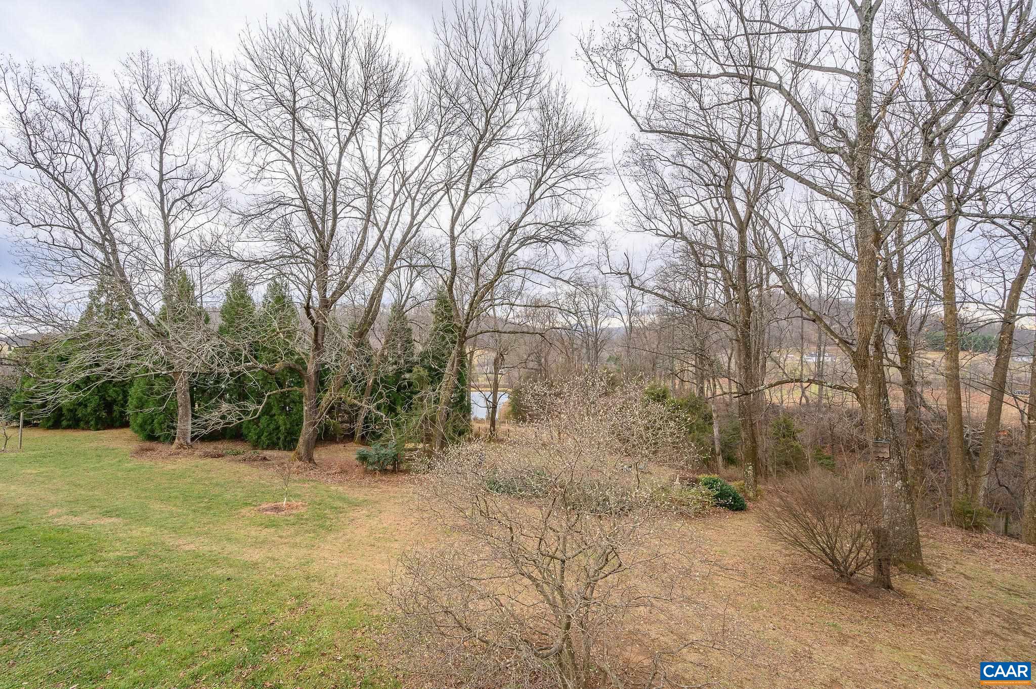 9165 Dick Woods Road Afton, VA 22920 - Photo 51 of 56 a view of a field with trees in the background