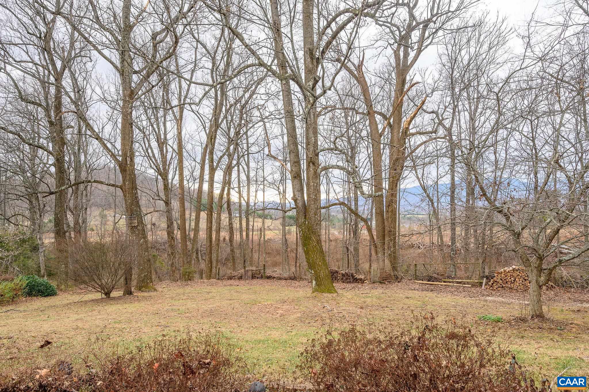 9165 Dick Woods Road Afton, VA 22920 - Photo 53 of 56 a backyard of a house with a large tree