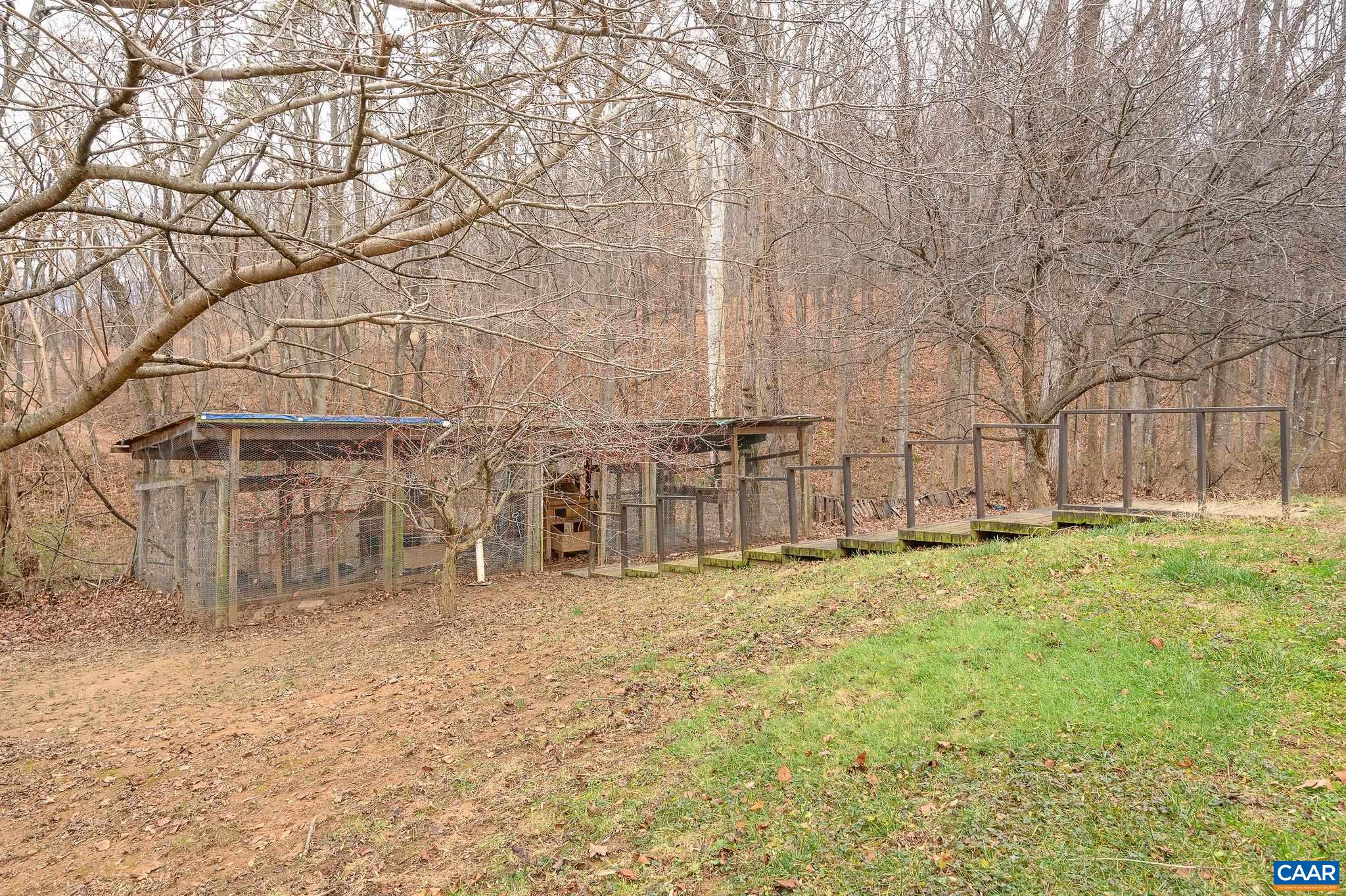 9165 Dick Woods Road Afton, VA 22920 - Photo 54 of 56 a view of a yard with large trees