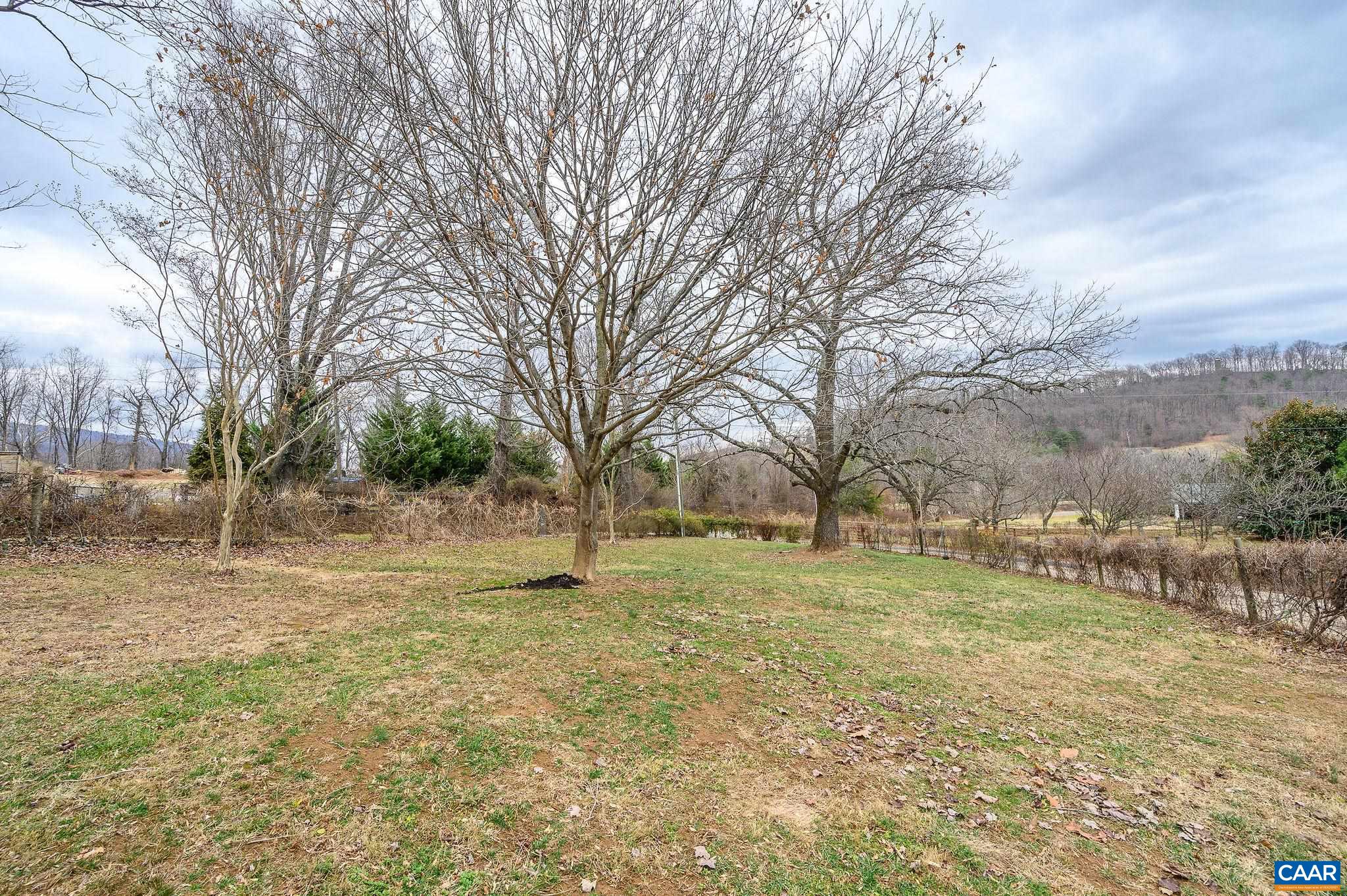 9165 Dick Woods Road Afton, VA 22920 - Photo 56 of 56 a backyard of a house with large trees