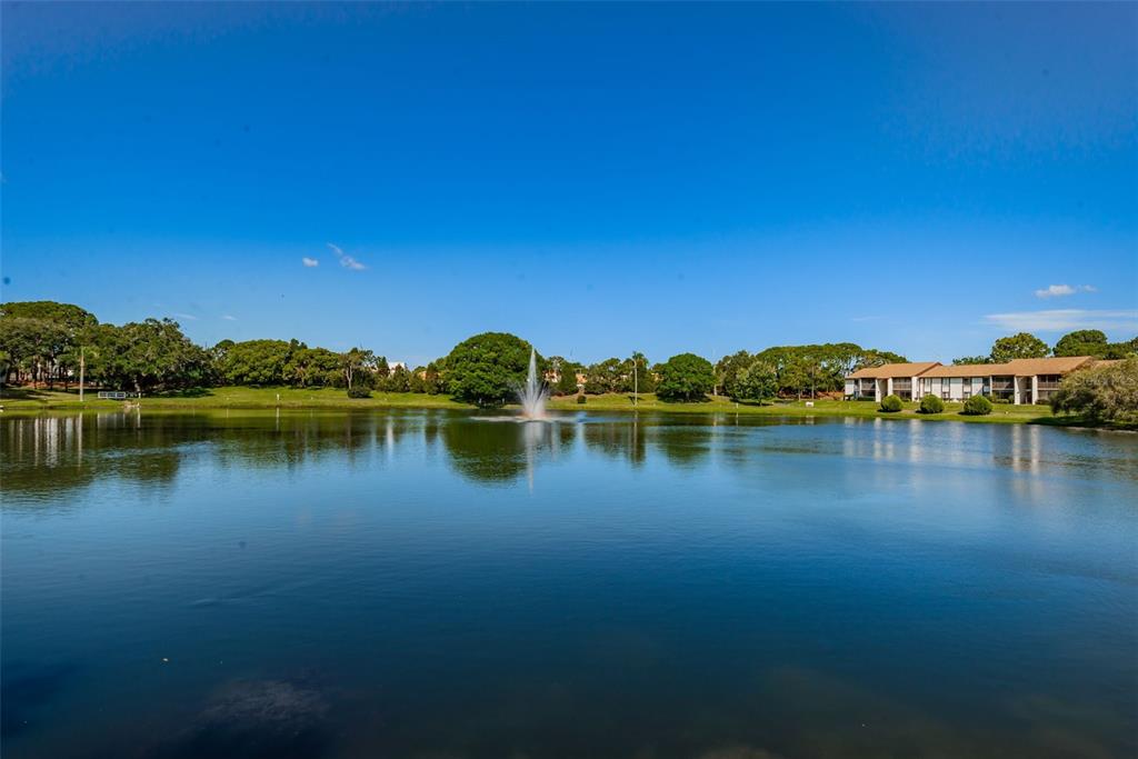 2575 Pine Ridge Way South, Unit E1 Palm Harbor, FL 34684 - Photo 27 of 31