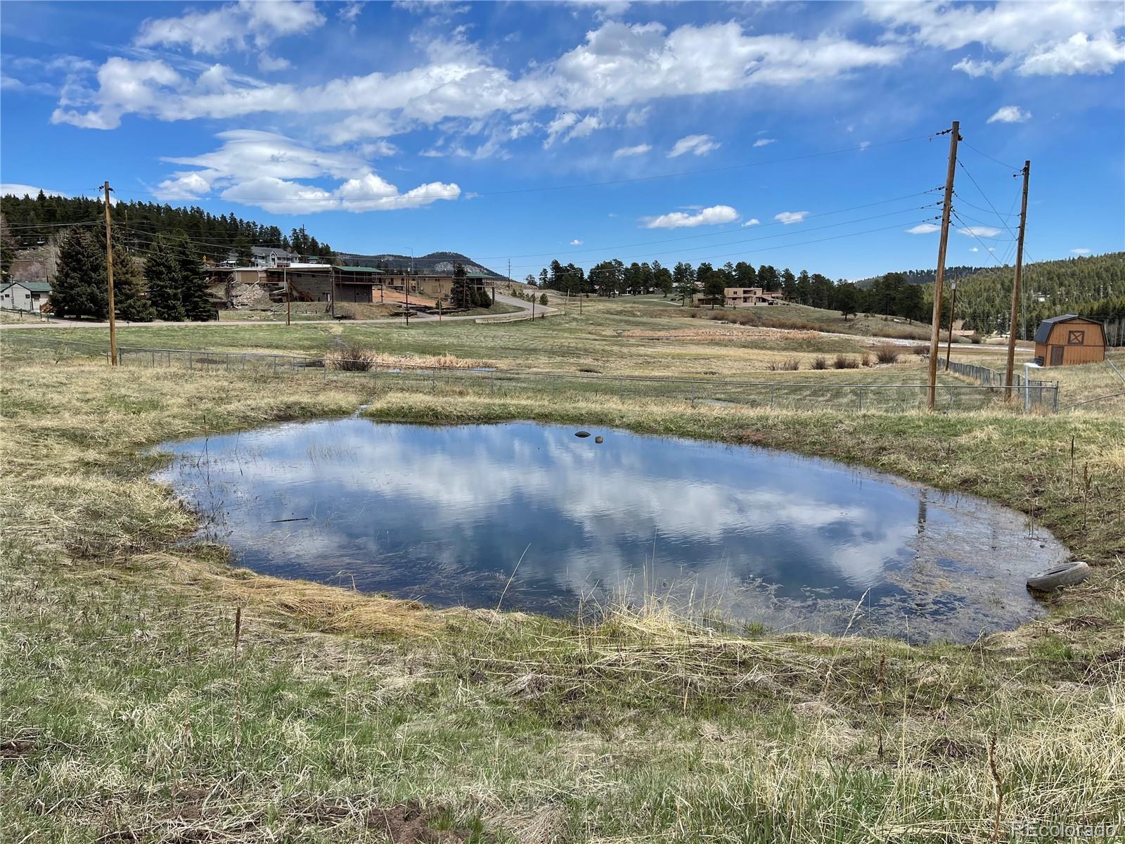 28652 Doe Valley Drive Conifer, CO 80433 - Photo 7 of 13 a view of a yard with a lake