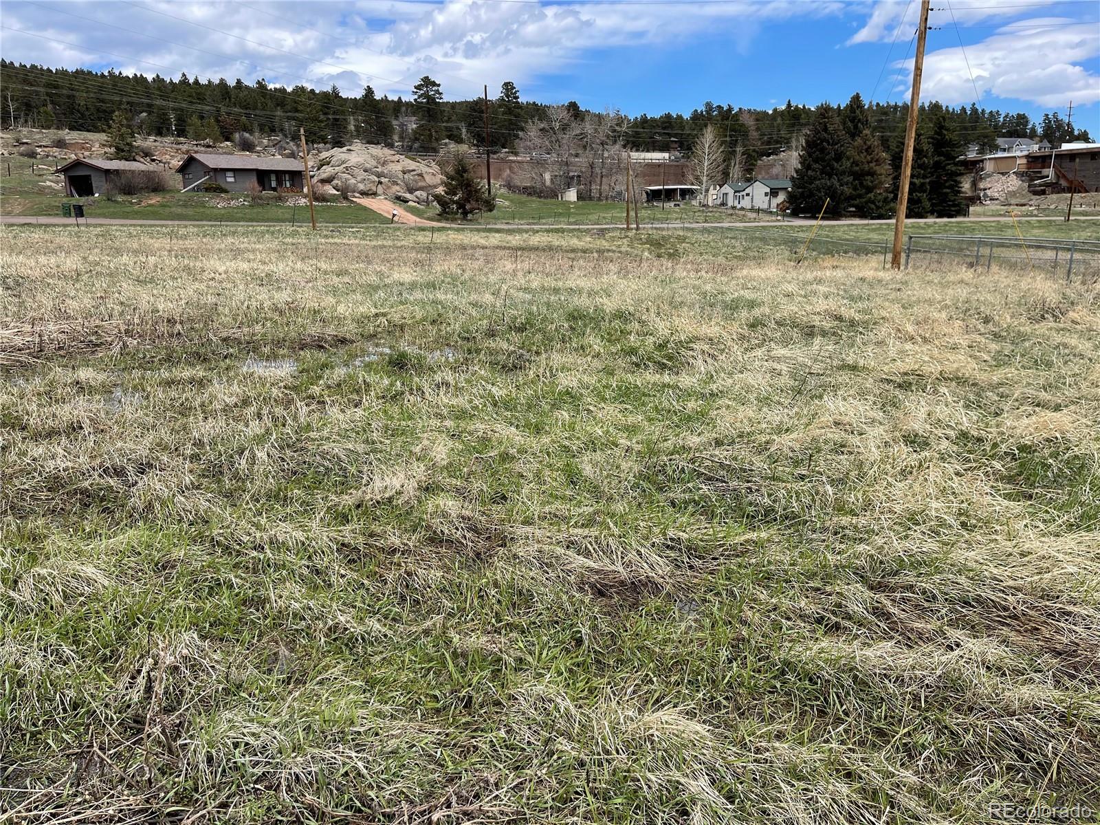 28652 Doe Valley Drive Conifer, CO 80433 - Photo 8 of 13 a view of a field with a tree