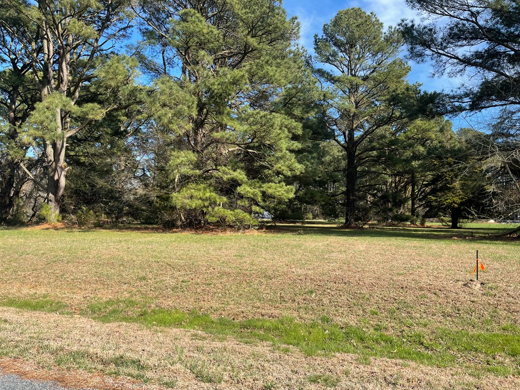 Lot 302 Underway Road, Unit 302 Greenbackville, VA 23356 - Photo 3 of 4