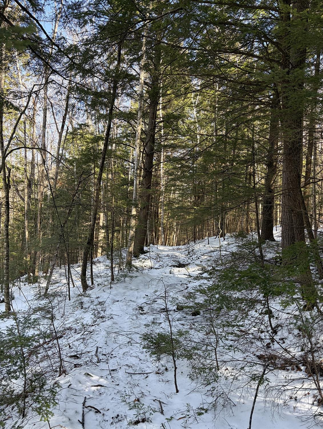 0 Hodgdon Road Alexandria, NH 03222 - Photo 6 of 12