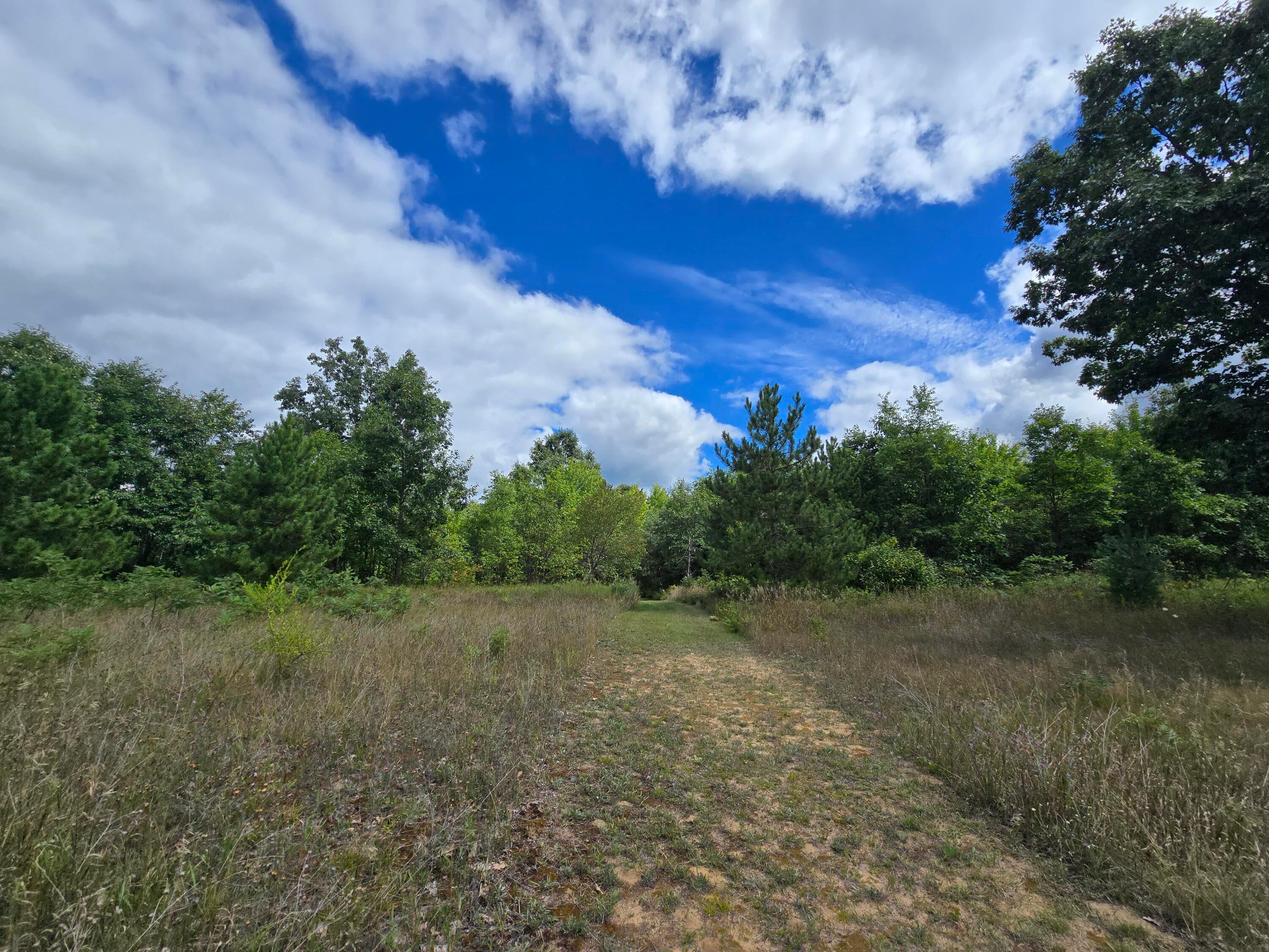 4190 North Abbe Road Comins, MI 48619 - Photo 128 of 131 20250829_125418