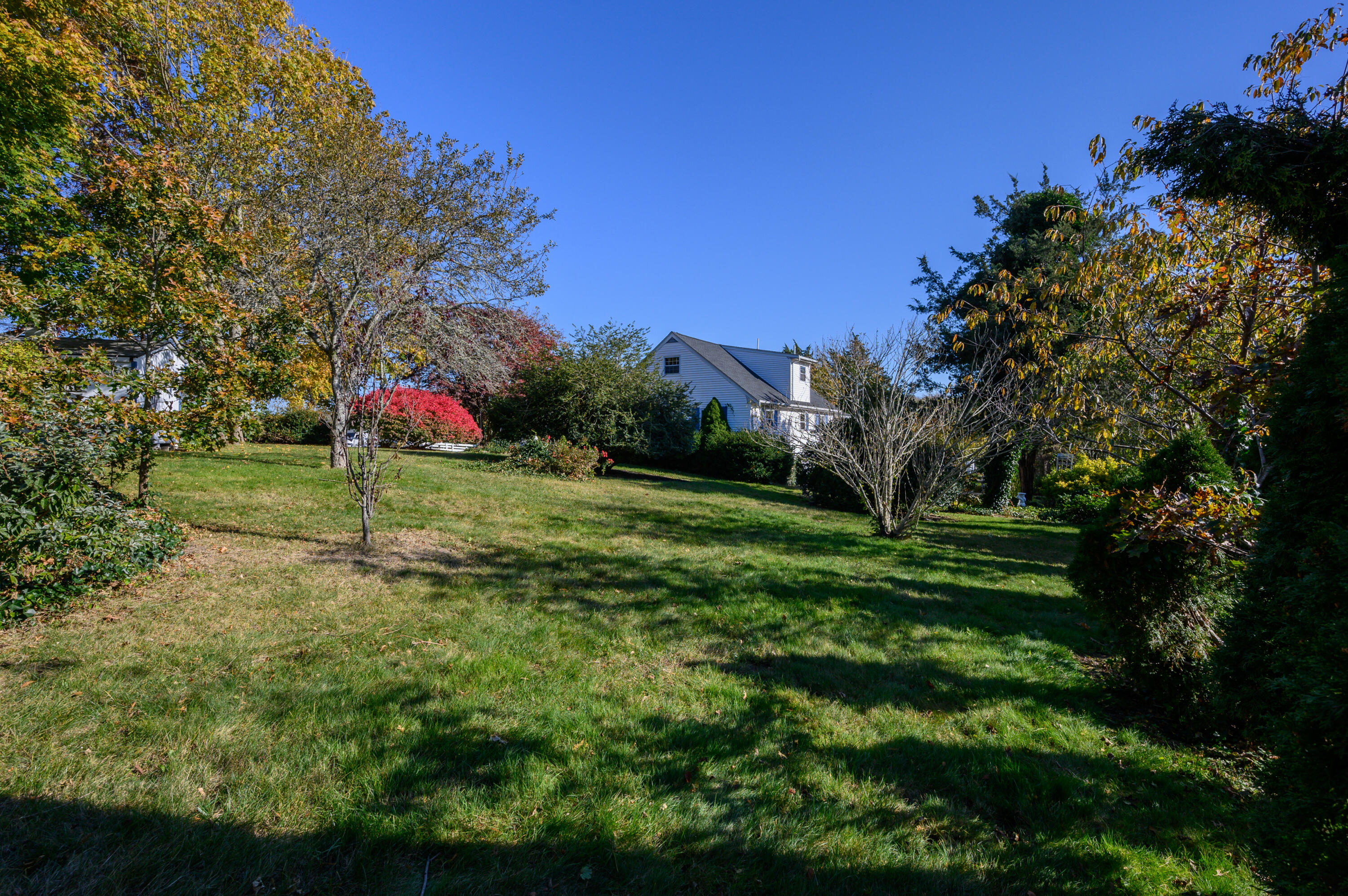 906 Shore Road Pocasset, MA 02559 - Photo 28 of 38 a view of a field with plants and trees in the background