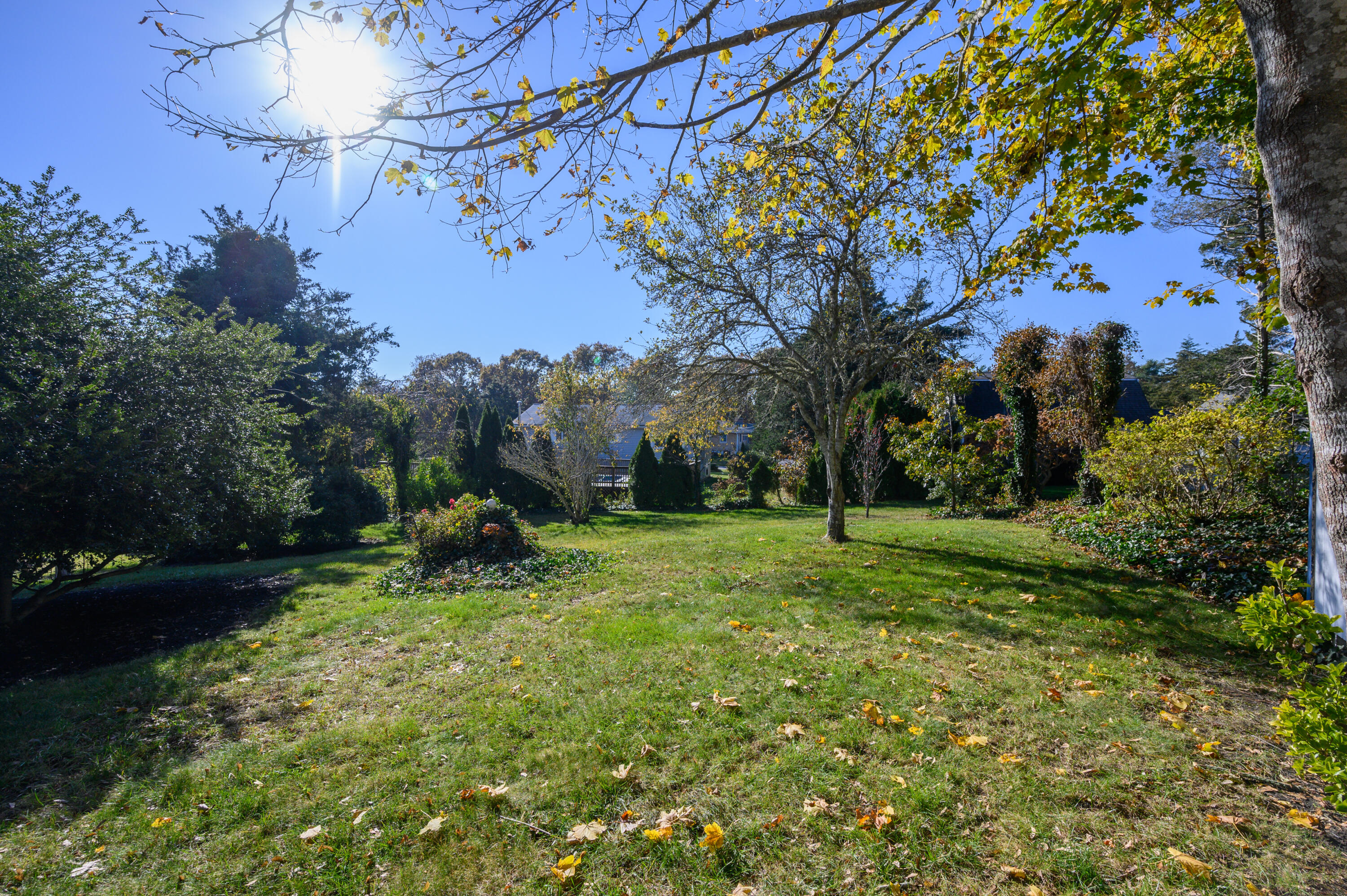 906 Shore Road Pocasset, MA 02559 - Photo 29 of 38 a view of a fire pit with large trees