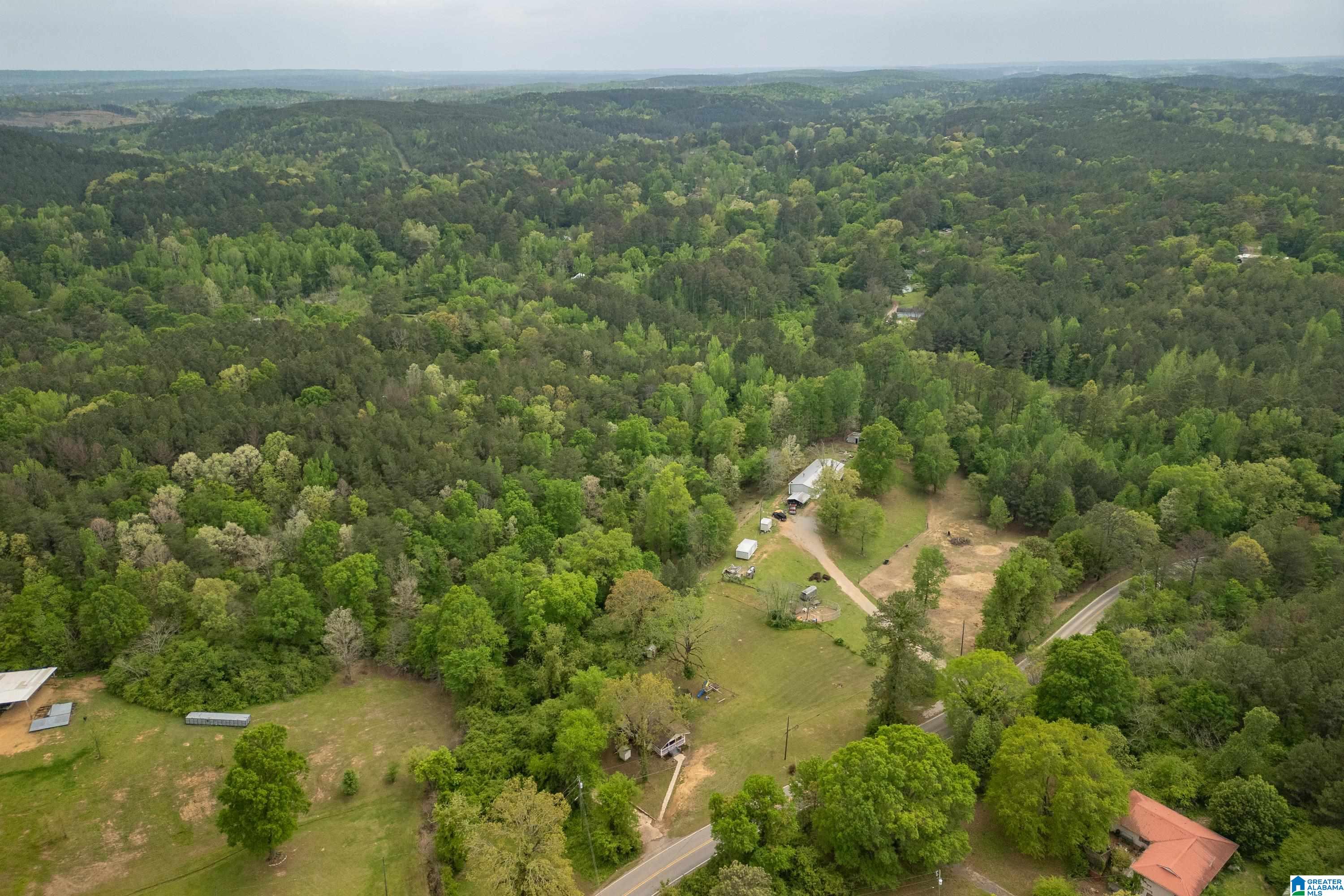 5781 Mud Creek Road Adger, AL 35006 - Photo 30 of 36